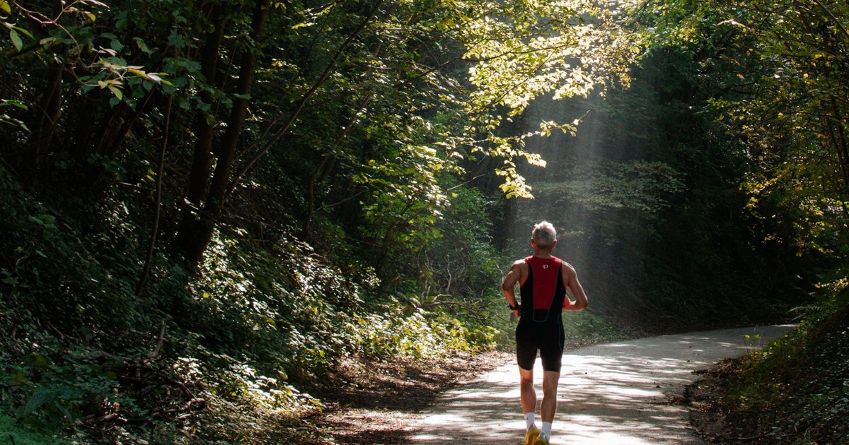 Corredor por un camino de bosque con rayos de luz entre los árboles